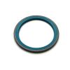 POLYPAC SCRAPER SEAL