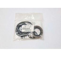 GASKET/SEAL KIT
