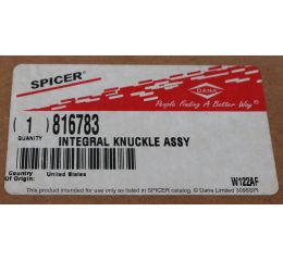 INTEGRAL KNUCKLE ASSEMBLY