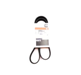ALTERNATOR BELT