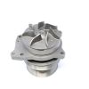 D&W DIESEL WATER PUMP W/O HOUSING