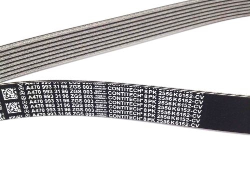 CONTITECH BELT
