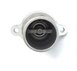 THERMOSTAT & HOUSING