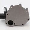 SCHWARZE WATER PUMP