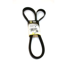 V BELT