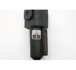 AIR MOTOR FILTER 1/4' PT