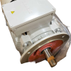 SIEMENS ELECTRIC MOTOR 30KW 480V 60HZ