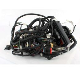 HARN FRAME ELECTRIC