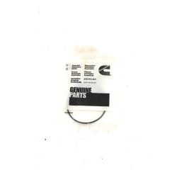 SEAL RECTANGULAR RING