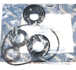 STEERING GEAR SEAL KIT