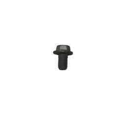 FLANGE SCREW