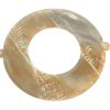 DANA SPICER FRICTION PLATE