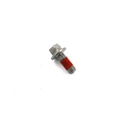 FLANGE SCREW