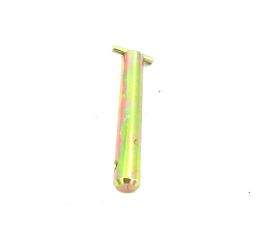 PIN JOINT