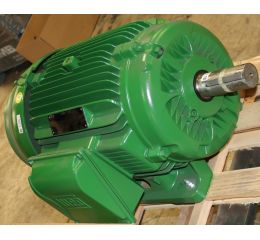 ELECTRIC MOTOR 37kW 230/460V 50/60Hz