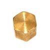 ANDERSON BRASS CAP PIPE 1/4-18 FEMALE THREAD
