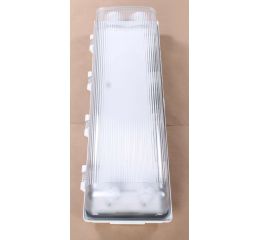 FLUORESCENT LIGHT FIXTURE - EXPLOSION PROTECTED