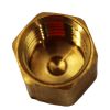 ANDERSON BRASS CAP PIPE 1/4-18 FEMALE THREAD