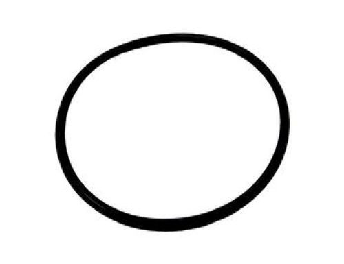 CASE AFTERMARKET SEAL RING