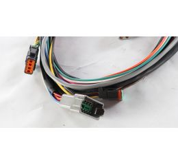 WIRE HARNESS