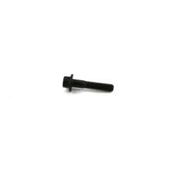 FLANGE SCREW