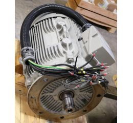 ELECTRIC MOTOR 30kW 230/460V 60Hz