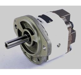 HYDRAULIC GEAR MOTOR