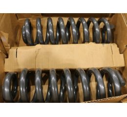 COIL SPRING (1 PAIR)