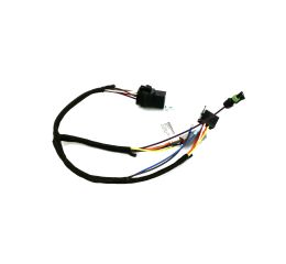 CAMLOCK 6DP [ PLUG ]