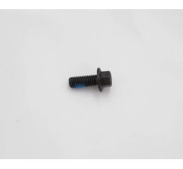 FLANGE SCREW