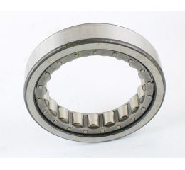 CYLINDRICAL ROLLER BEARING: 100mm OD W/OUT INNER