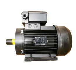 ELECTRIC MOTOR 2.2kW 220V 60Hz 1PH