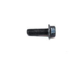 FLANGE SCREW