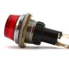 VOLVO INDICATOR LAMP