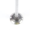VOLVO EXH VALVE
